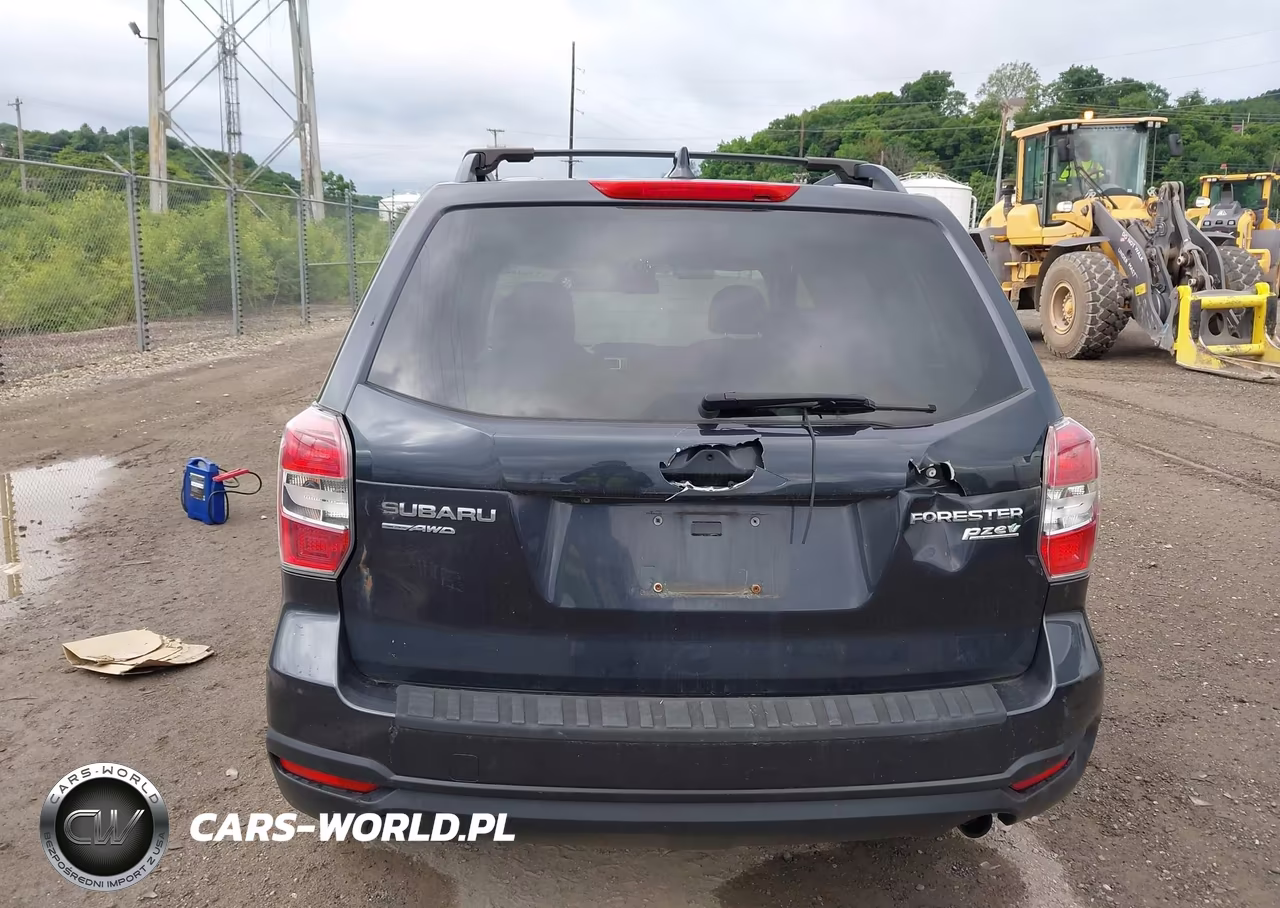 2016 Subaru Forester 2.5I Premium VIN:JF2SJADC1GH410495 - 16