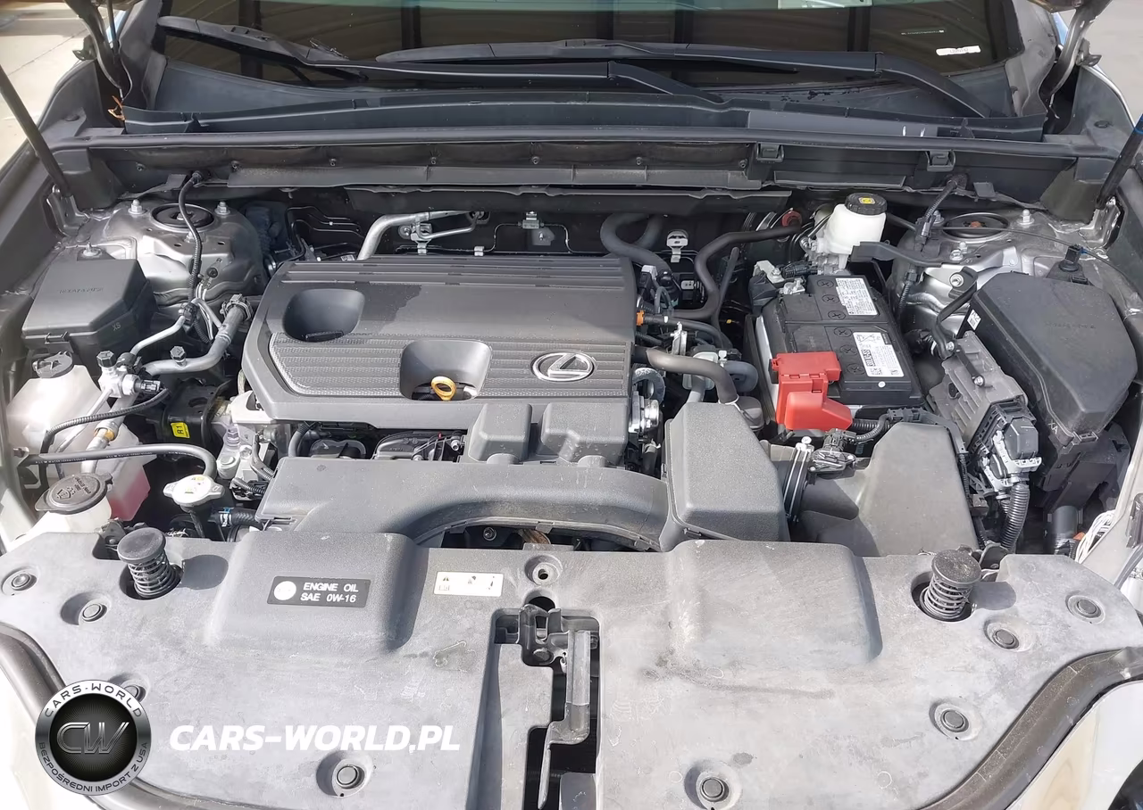 2022 Lexus Nx 250 VIN:2T2ADCAZ1NC002744 - 10