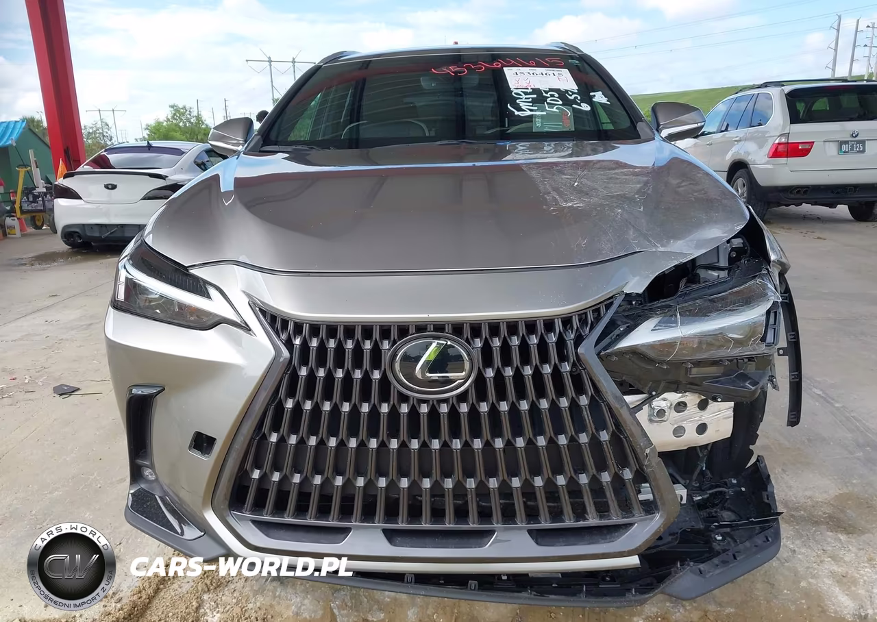 2022 Lexus Nx 250 VIN:2T2ADCAZ1NC002744 - 12