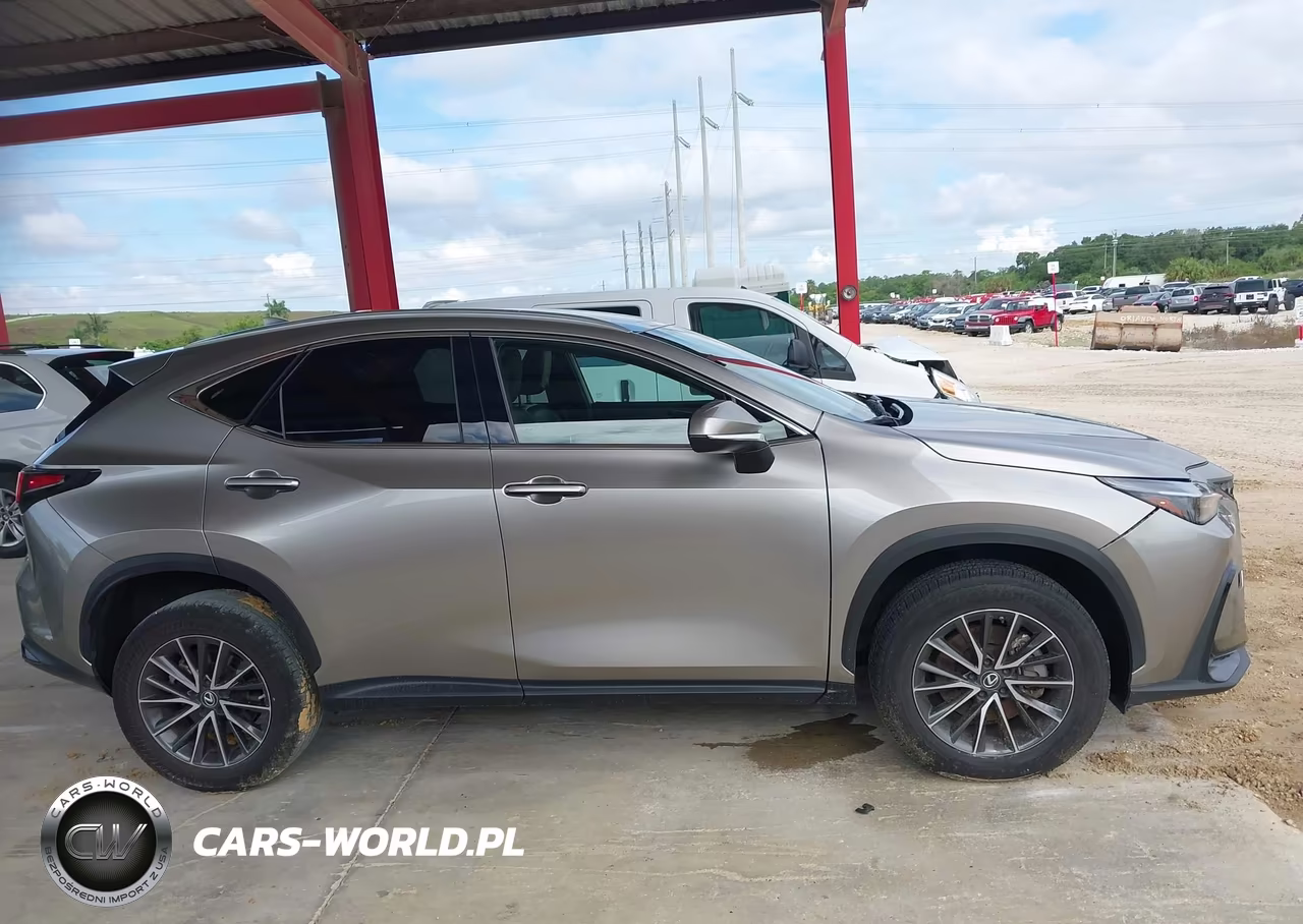 2022 Lexus Nx 250 VIN:2T2ADCAZ1NC002744 - 13