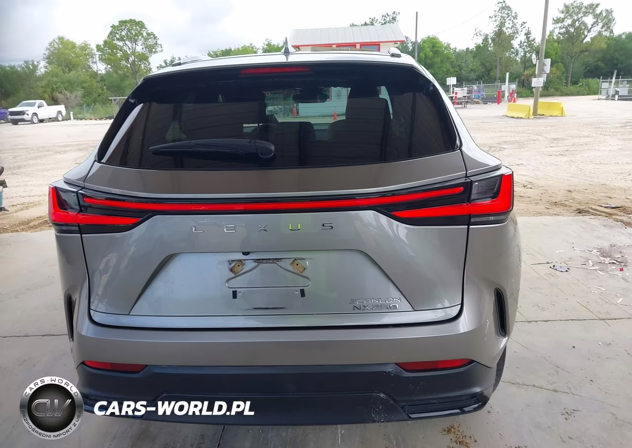 2022 Lexus Nx 250 VIN:2T2ADCAZ1NC002744 - 16