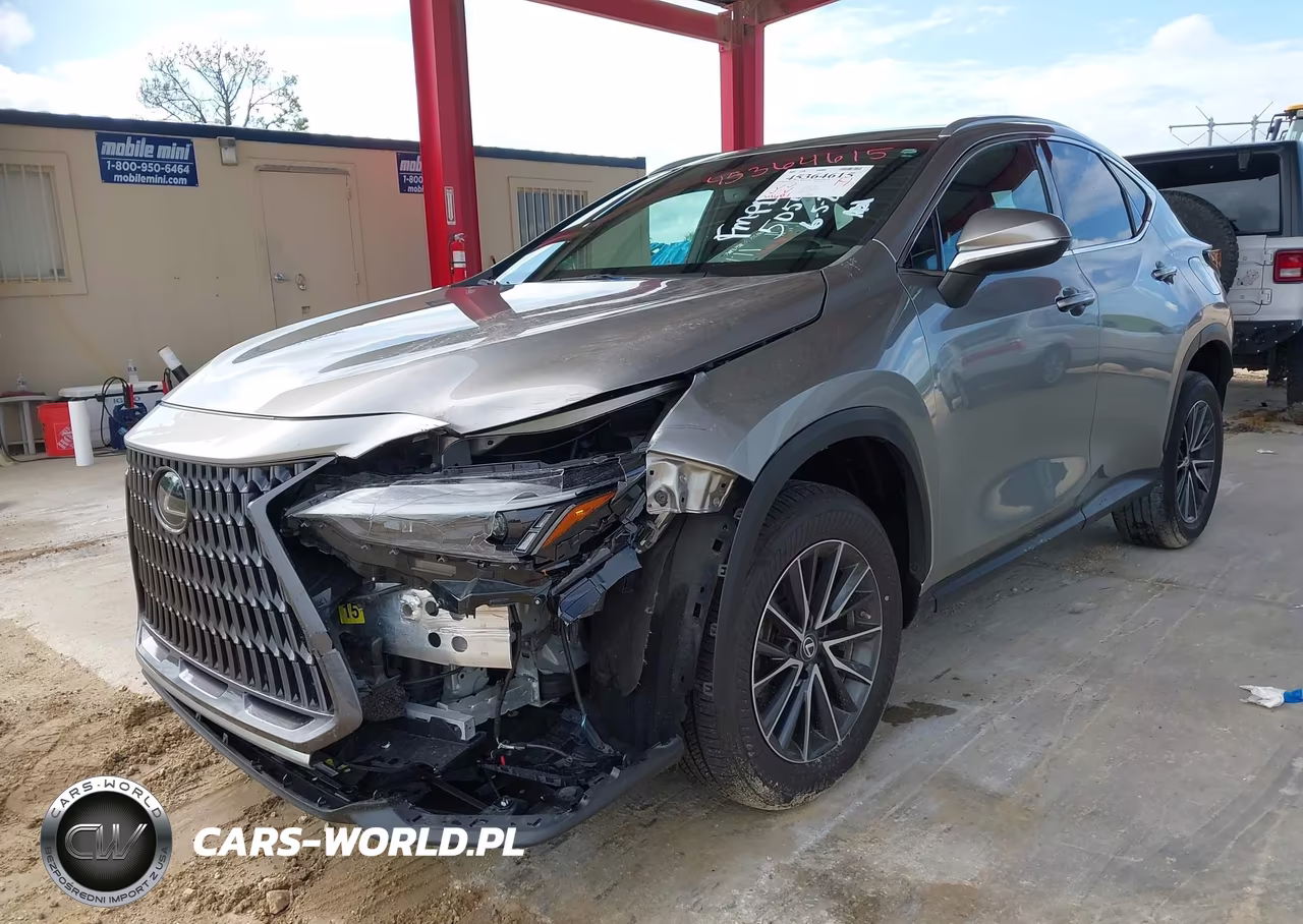 2022 Lexus Nx 250 VIN:2T2ADCAZ1NC002744 - 2