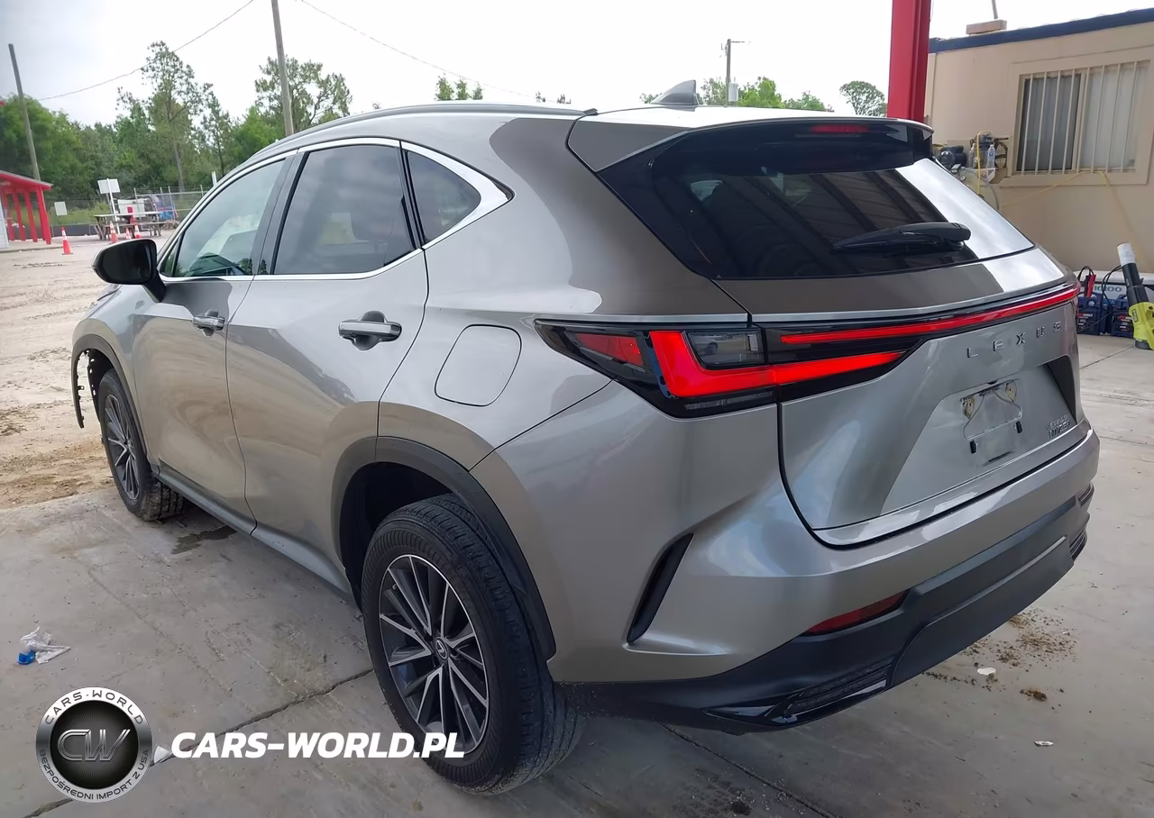 2022 Lexus Nx 250 VIN:2T2ADCAZ1NC002744 - 3