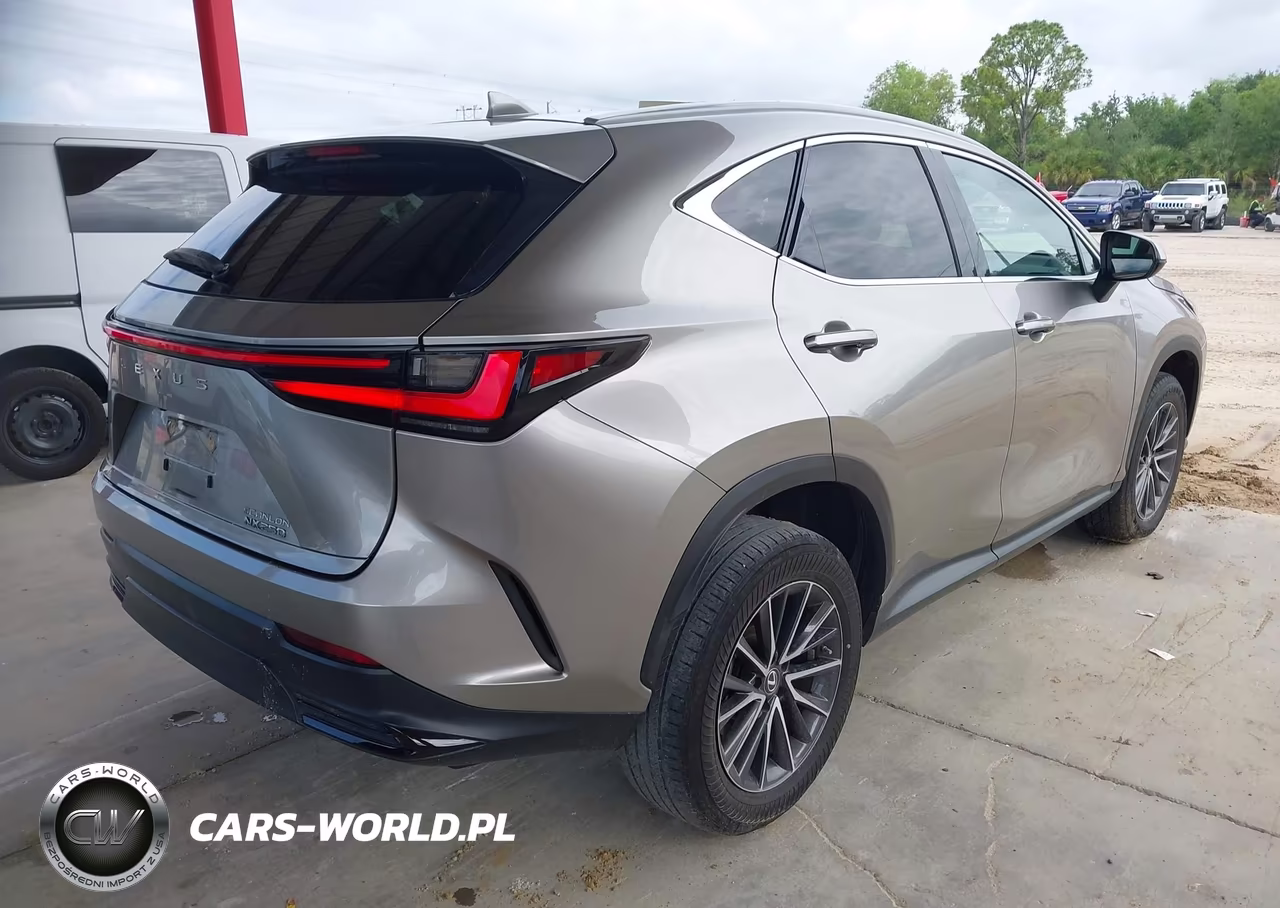 2022 Lexus Nx 250 VIN:2T2ADCAZ1NC002744 - 4