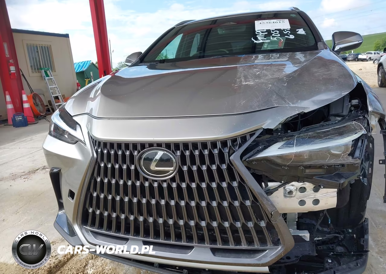 2022 Lexus Nx 250 VIN:2T2ADCAZ1NC002744 - 6