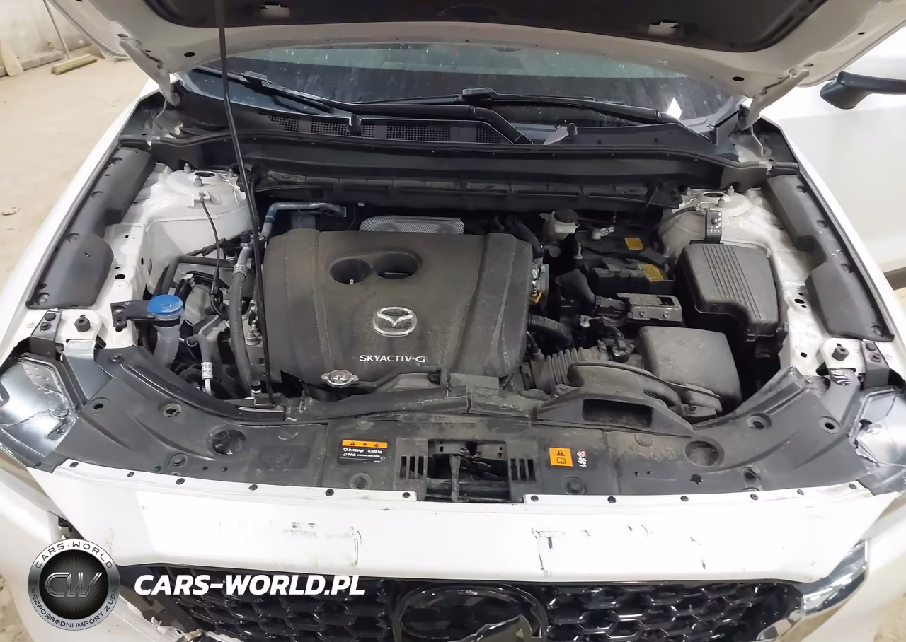 2023 Mazda Cx-5 2.5 S Premium Plus VIN:JM3KFBEM0P0158158 - 10