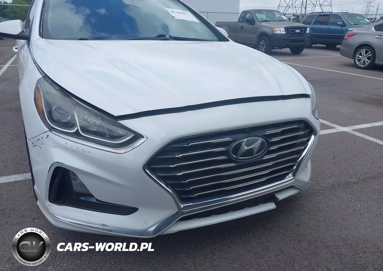 2019 Hyundai Sonata Se VIN:5NPE24AF9KH804474 - 12