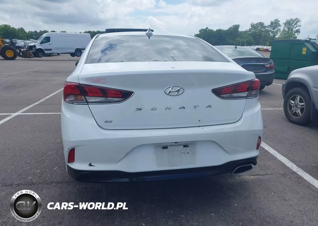 2019 Hyundai Sonata Se VIN:5NPE24AF9KH804474 - 16