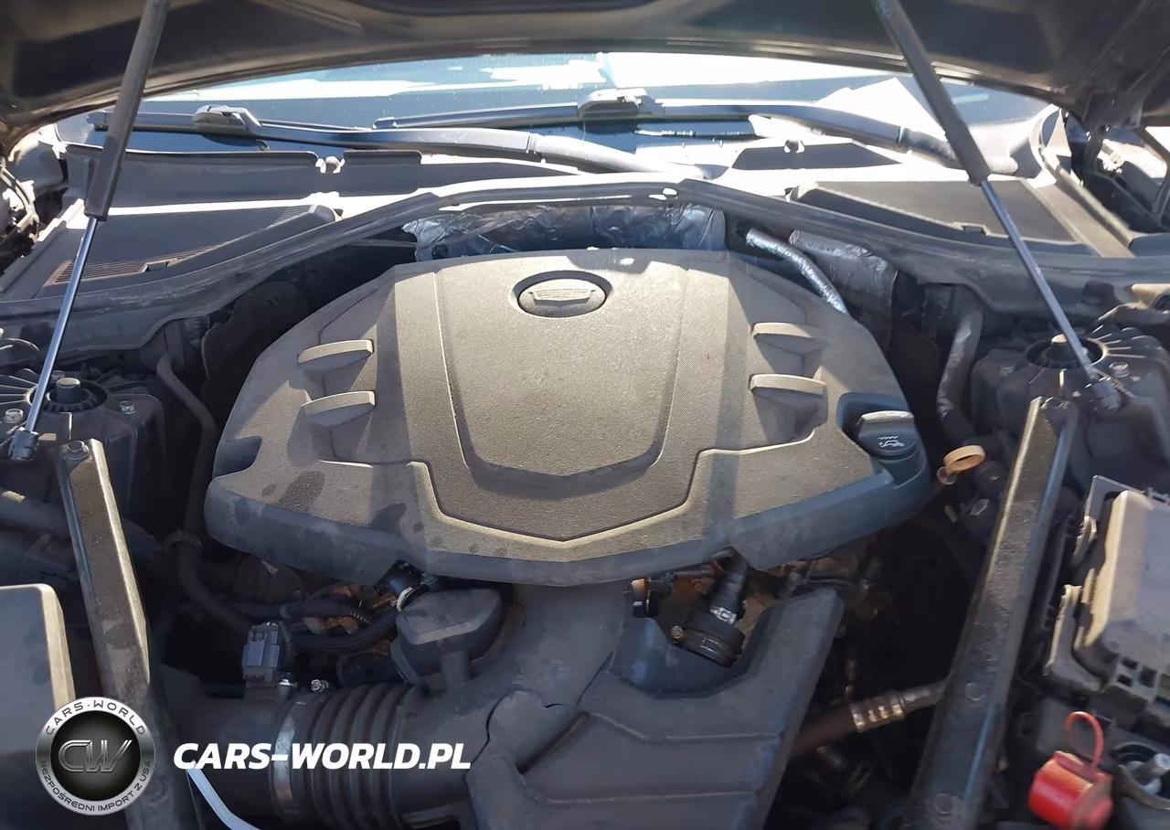 2019 Cadillac Ct6 Luxury VIN:1G6KB5RS3KU142104 - 10