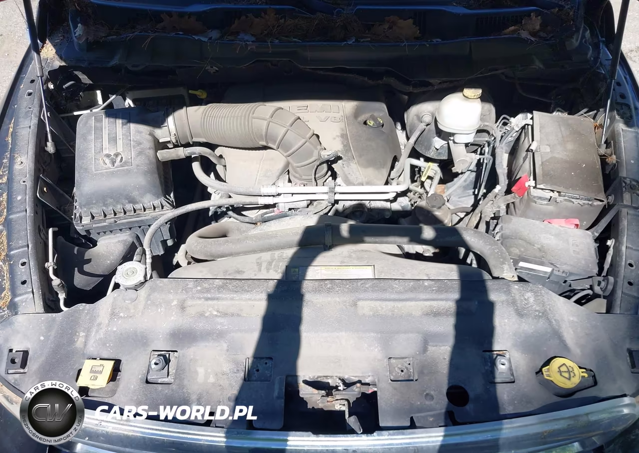 2010 Dodge Ram 1500 Slt VIN:1D7RV1GTXAS253322 - 10