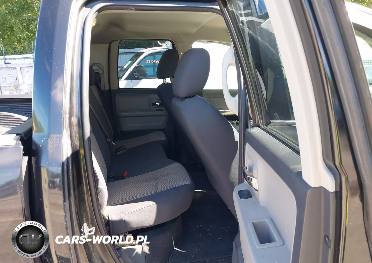 2010 Dodge Ram 1500 Slt VIN:1D7RV1GTXAS253322 - 8