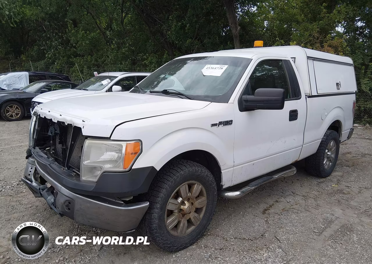 2013 Ford F-150 Xl VIN:1FTMF1CM8DFC03676 - 2