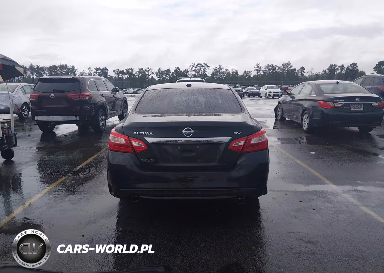 2016 Nissan Altima 2.5 Sv VIN:1N4AL3AP4GC115174 - 17