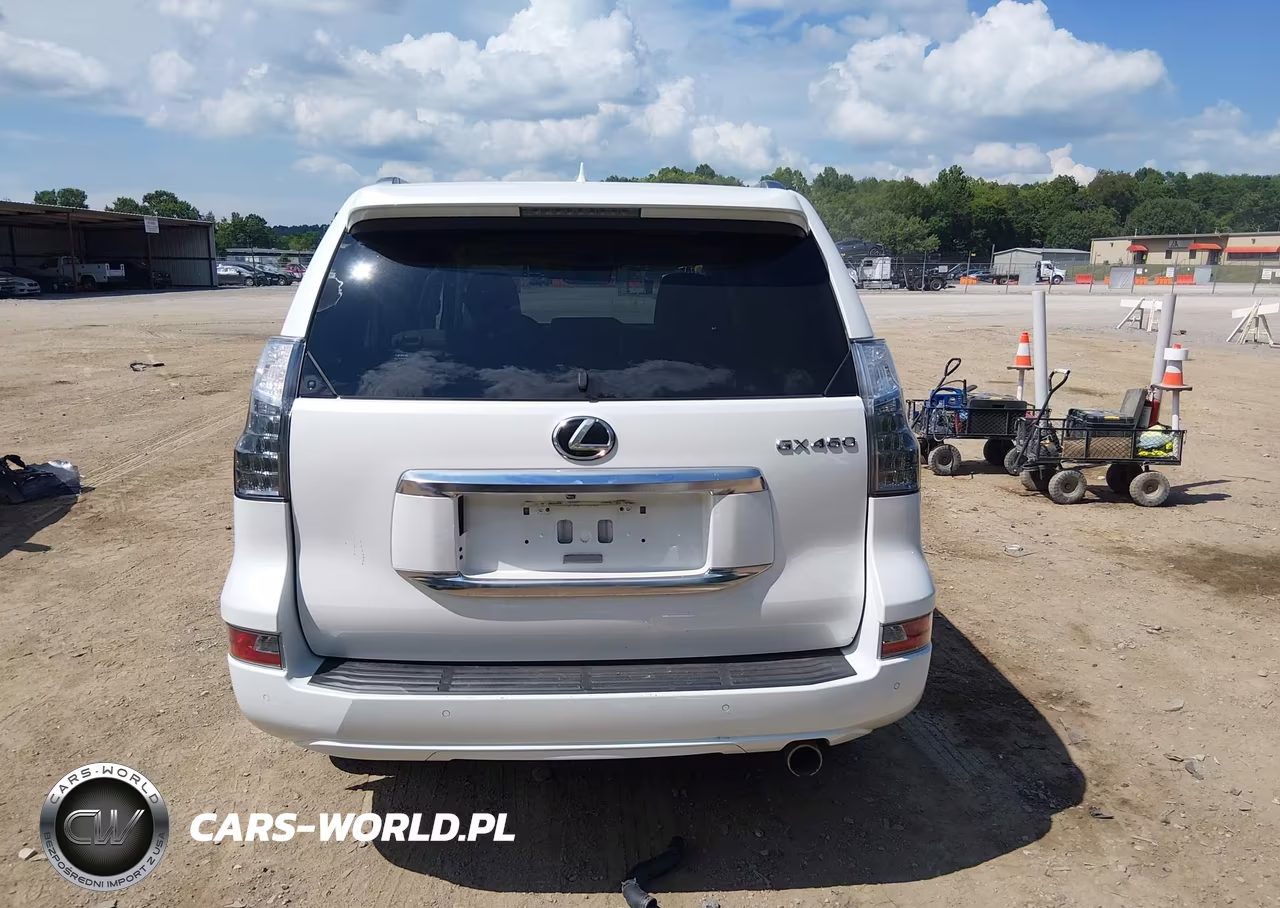 2020 Lexus Gx 460 Luxury VIN:JTJGM7BX8L5256087 - 17