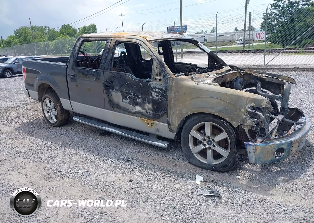 2013 Ford F-150 Xlt – zdjęcie 1 z 10