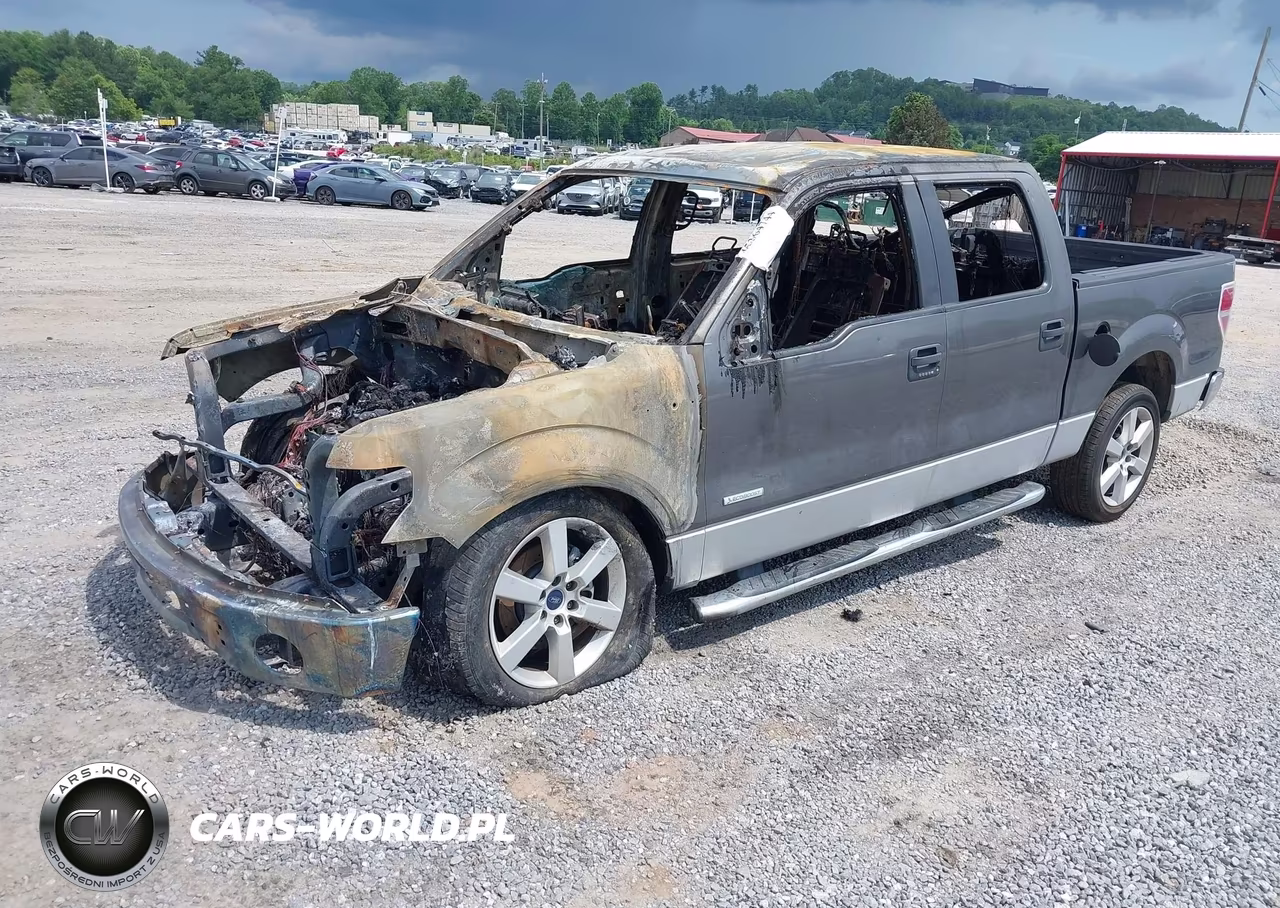 2013 Ford F-150 Xlt VIN:1FTFW1CT9DFC03511 - 2