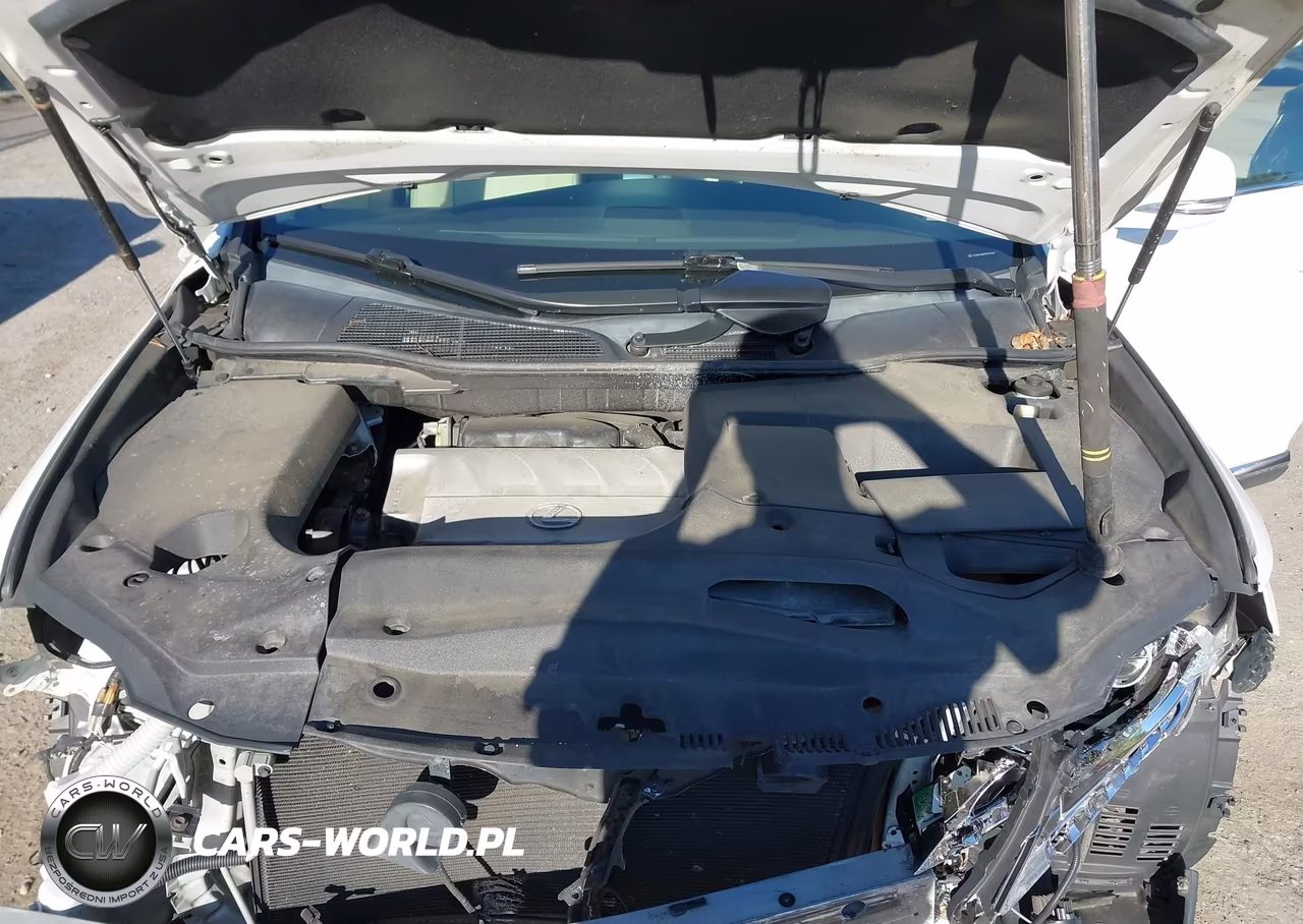 2015 Lexus Rx 350 VIN:2T2BK1BA7FC331392 - 10