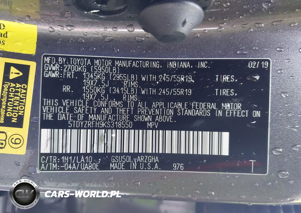 2019 Toyota Highlander Limited Platinum VIN:5TDYZRFH9KS318550 - 9