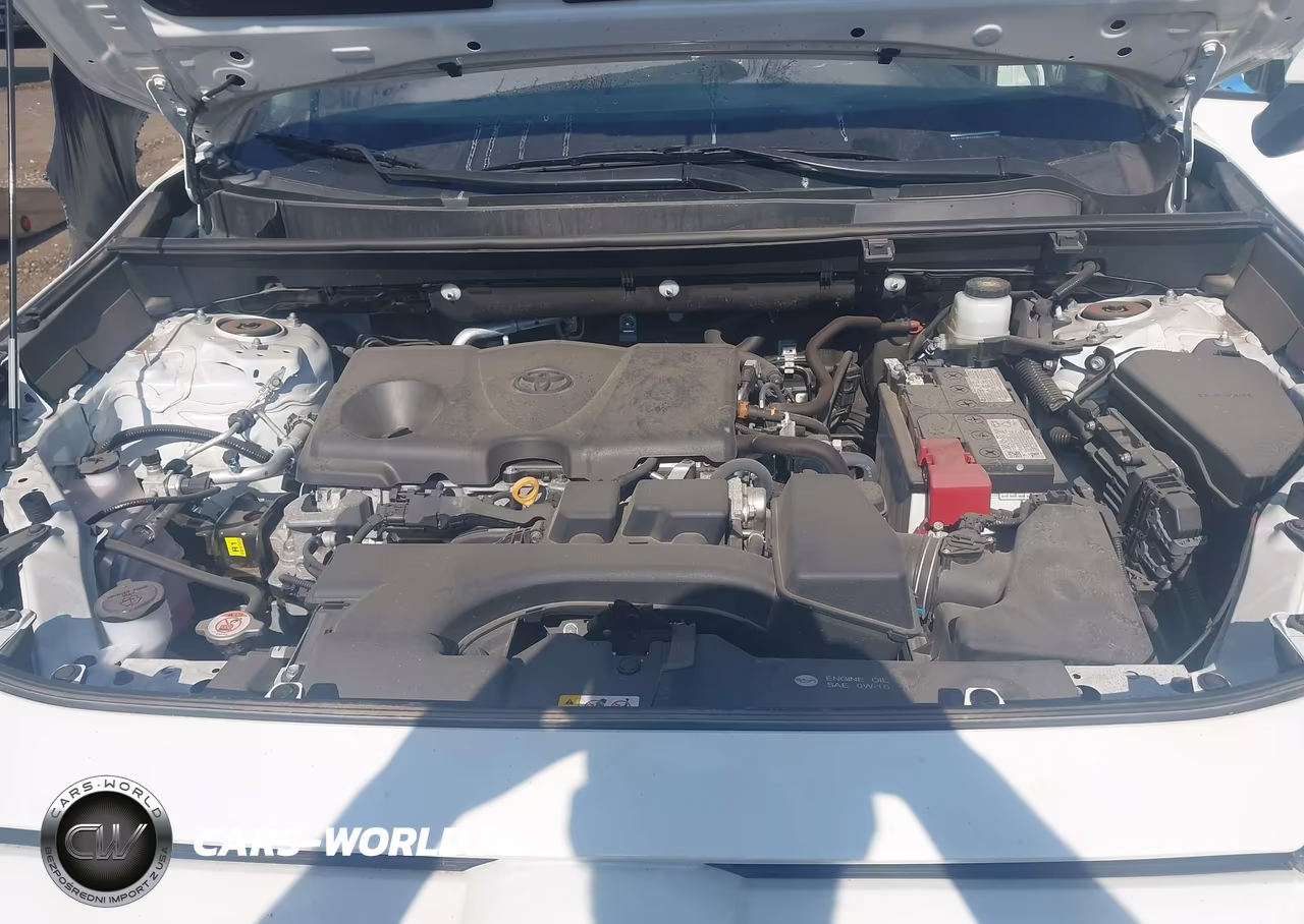 2024 Toyota Rav4 Xle VIN:2T3P1RFV6RW445886 - 10
