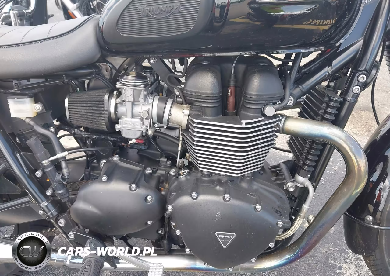 2014 Triumph Motorcycle Bonneville T100 VIN:SMT910K15ET649326 - 8