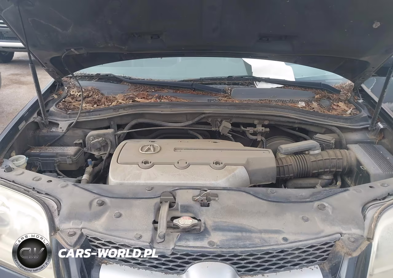 2006 Acura Mdx VIN:2HNYD18236H516290 - 10