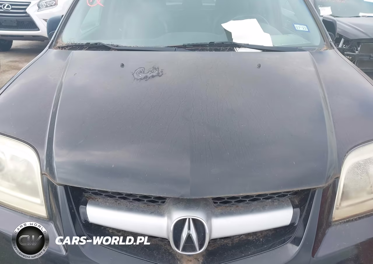 2006 Acura Mdx VIN:2HNYD18236H516290 - 6