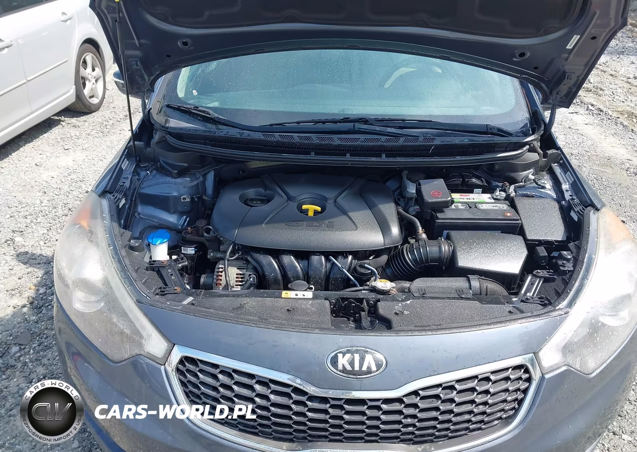2015 Kia Forte Ex VIN:KNAFX4A81F5358881 - 10