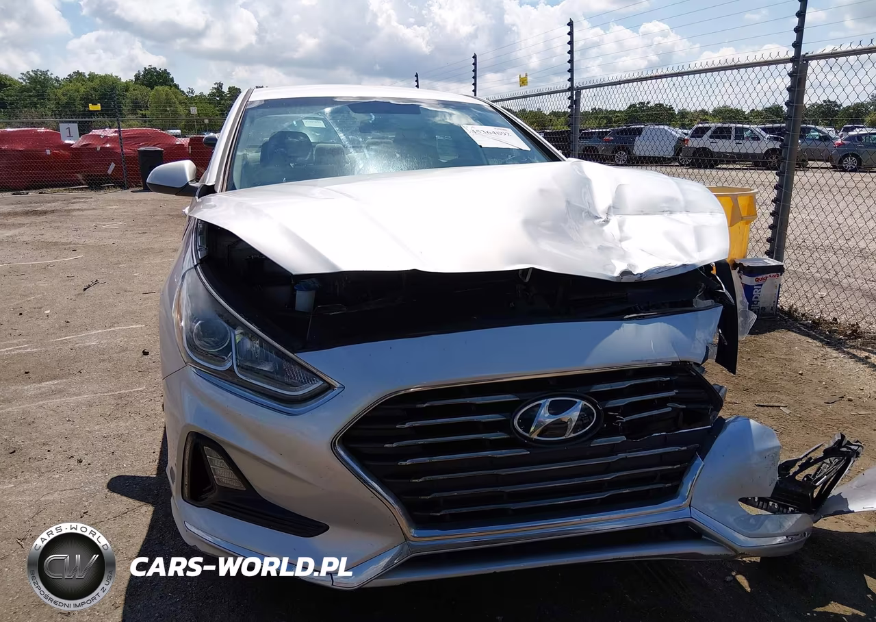 2019 Hyundai Sonata Se VIN:5NPE24AF5KH809476 - 12