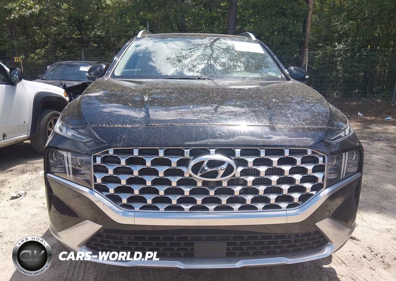 2021 Hyundai Santa Fe Limited VIN:5NMS44AL0MH322222 - 12