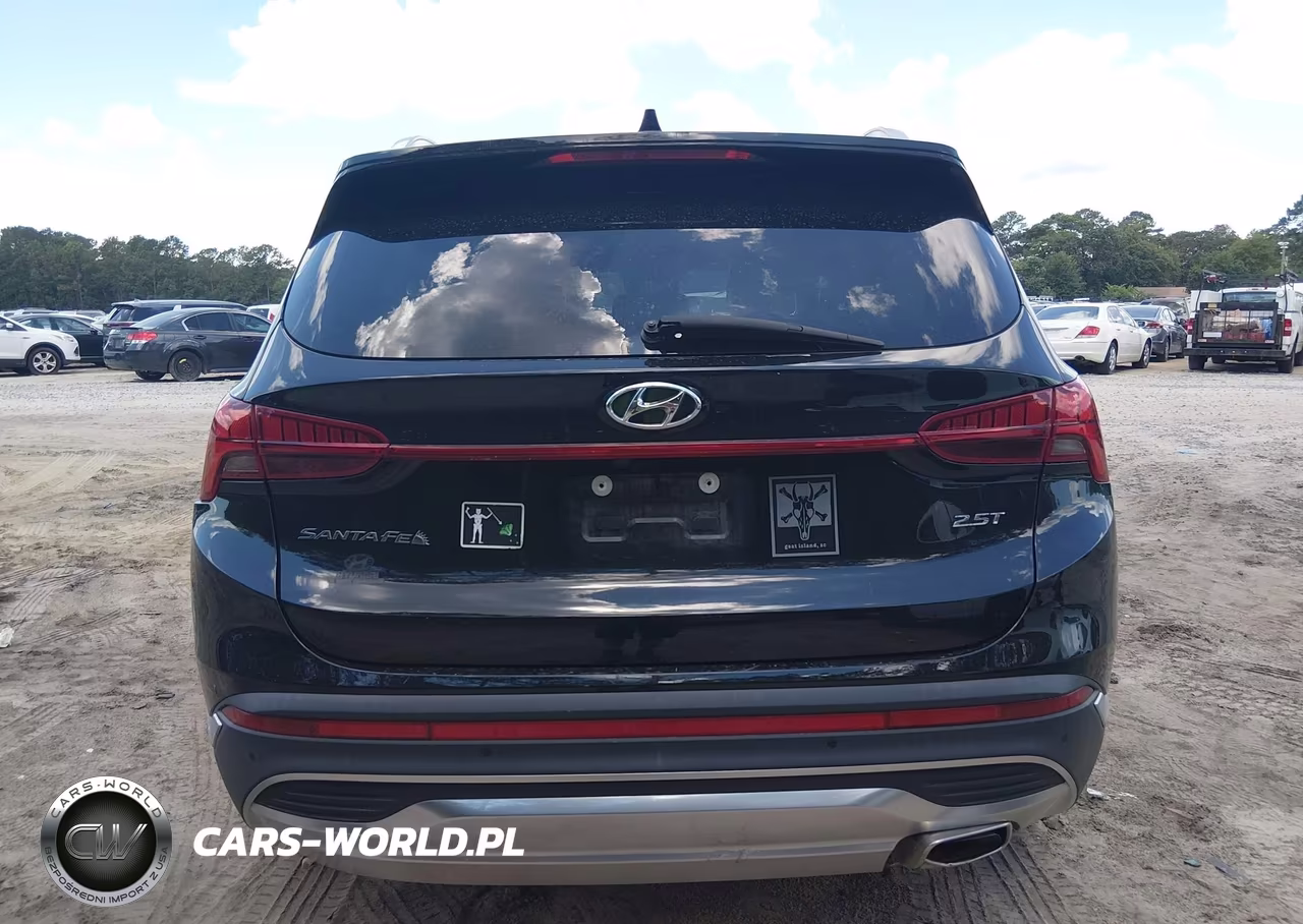 2021 Hyundai Santa Fe Limited VIN:5NMS44AL0MH322222 - 16