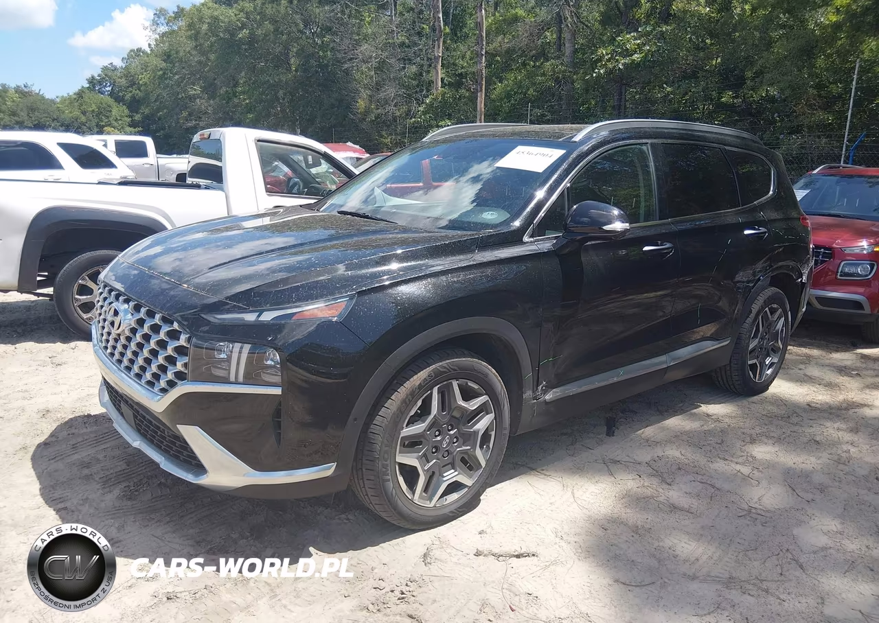 2021 Hyundai Santa Fe Limited VIN:5NMS44AL0MH322222 - 2