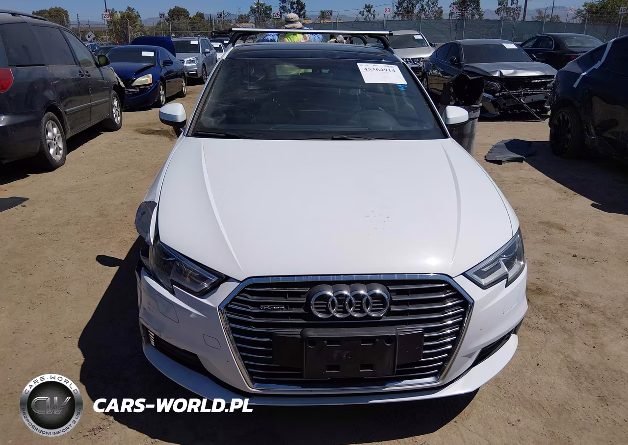 2017 Audi A3 Sportback E-Tron Premium VIN:WAUUPBFF2HA034674 - 12