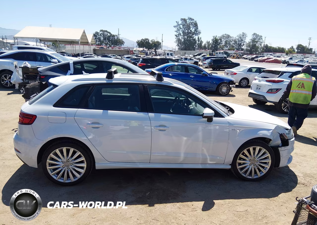 2017 Audi A3 Sportback E-Tron Premium VIN:WAUUPBFF2HA034674 - 13