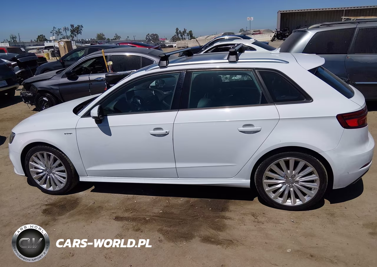 2017 Audi A3 Sportback E-Tron Premium VIN:WAUUPBFF2HA034674 - 14