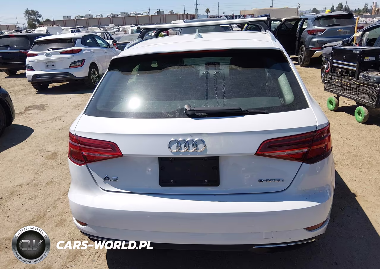 2017 Audi A3 Sportback E-Tron Premium VIN:WAUUPBFF2HA034674 - 16