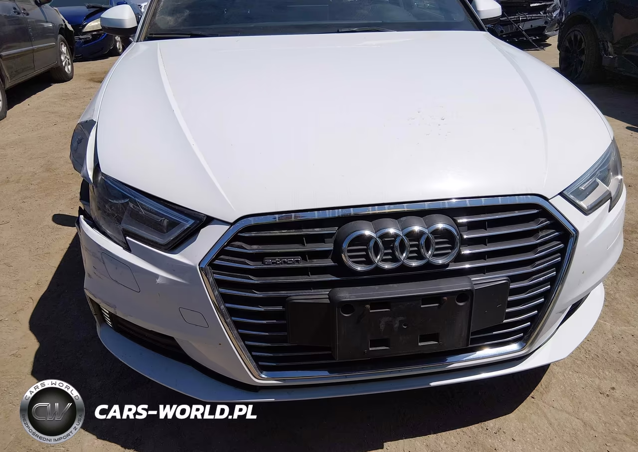 2017 Audi A3 Sportback E-Tron Premium VIN:WAUUPBFF2HA034674 - 6
