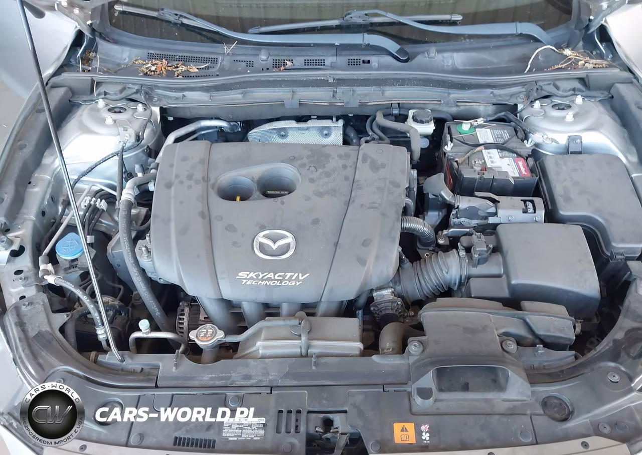 2014 Mazda Mazda3 I Touring VIN:JM1BM1V73E1211283 - 10