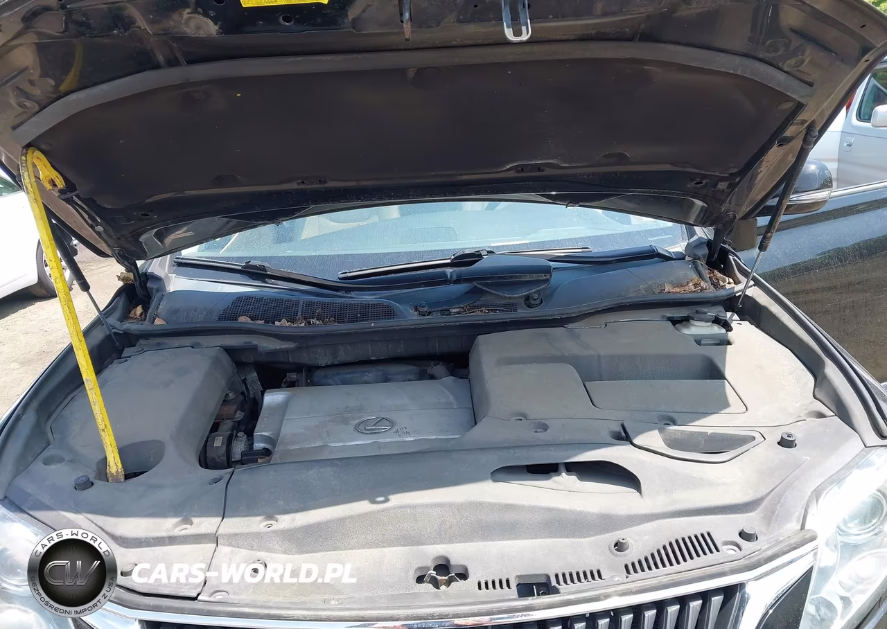 2010 Lexus Rx 350 VIN:2T2BK1BA1AC003457 - 10