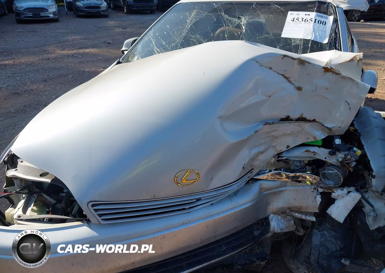 1994 Lexus Es 300 VIN:JT8GK13T9R0060083 - 10