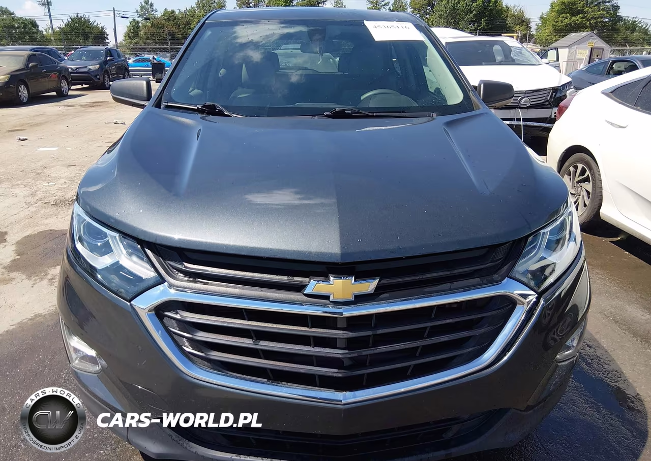 2018 Chevrolet Equinox Ls VIN:3GNAXHEV6JL113451 - 12