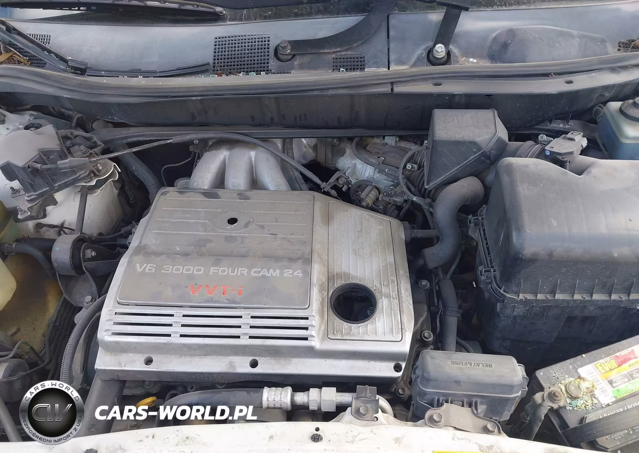 2000 Lexus Rx 300 VIN:JT6GF10U5Y0074538 - 10