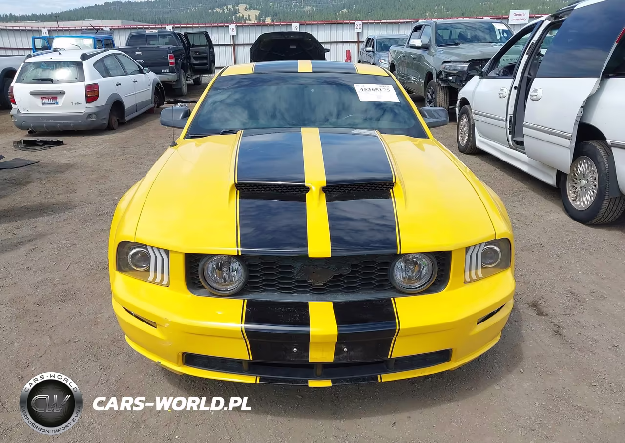 2006 Ford Mustang Gt VIN:1ZVFT82H265190654 - 13