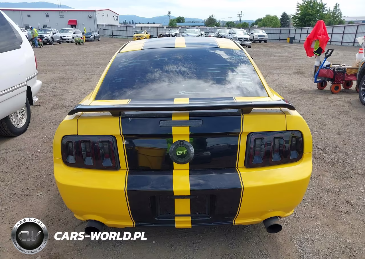 2006 Ford Mustang Gt VIN:1ZVFT82H265190654 - 17
