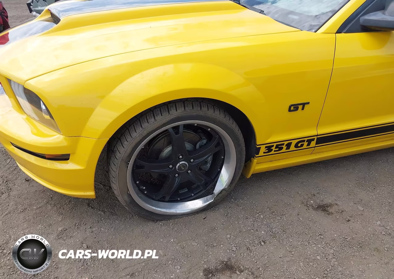 2006 Ford Mustang Gt VIN:1ZVFT82H265190654 - 18