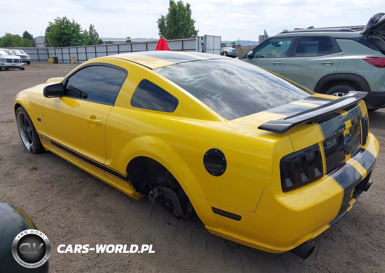 2006 Ford Mustang Gt VIN:1ZVFT82H265190654 - 3
