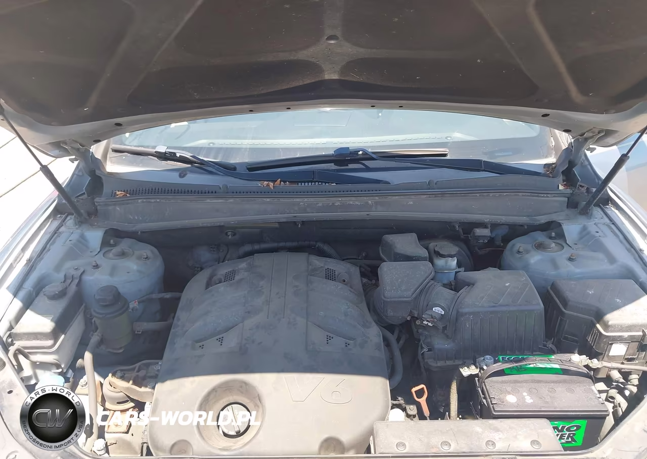 2009 Hyundai Santa Fe Se VIN:5NMSH13E29H296084 - 10