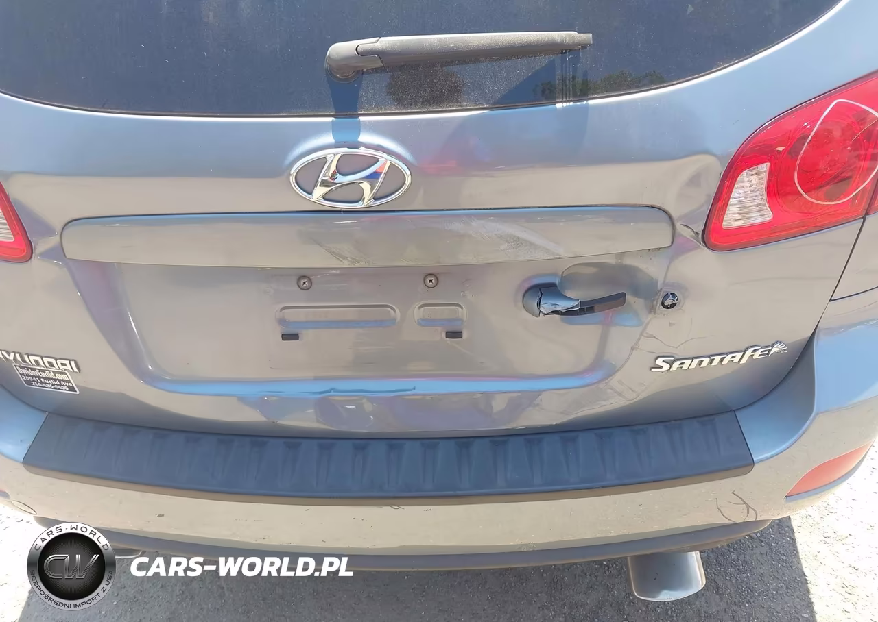 2009 Hyundai Santa Fe Se VIN:5NMSH13E29H296084 - 17