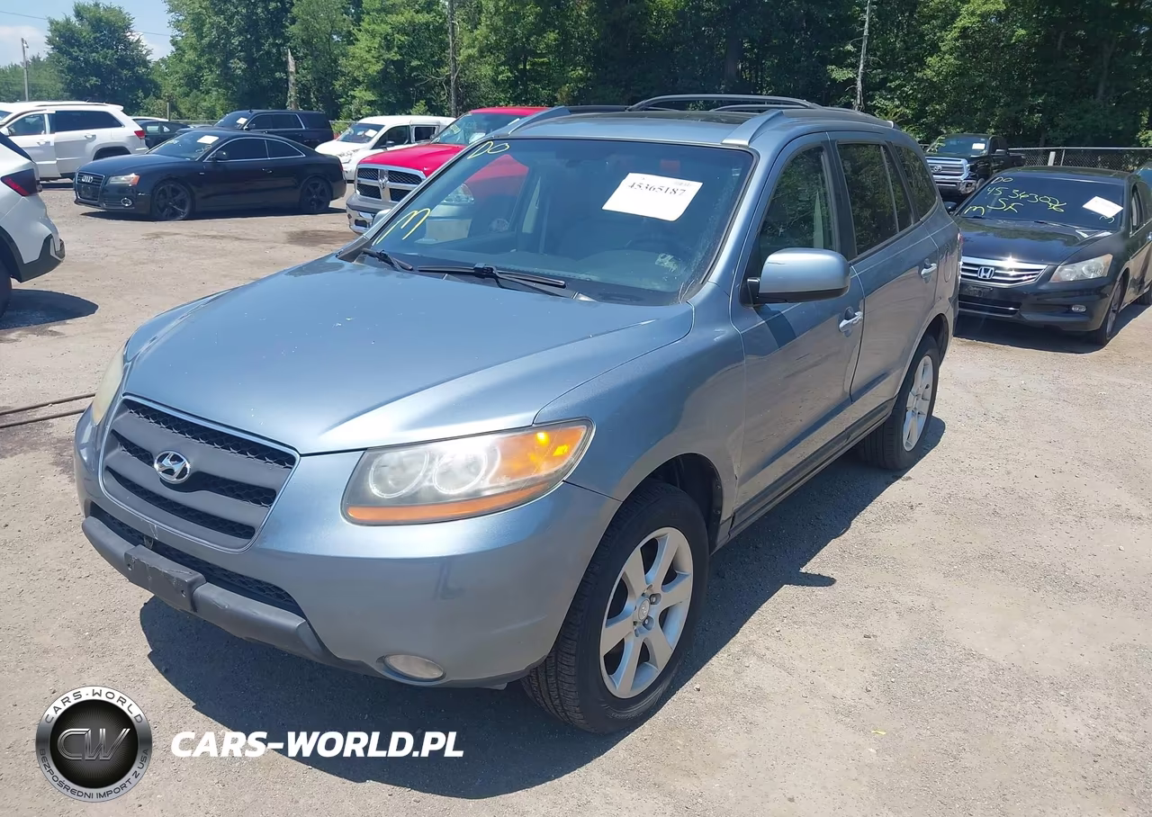 2009 Hyundai Santa Fe Se VIN:5NMSH13E29H296084 - 2