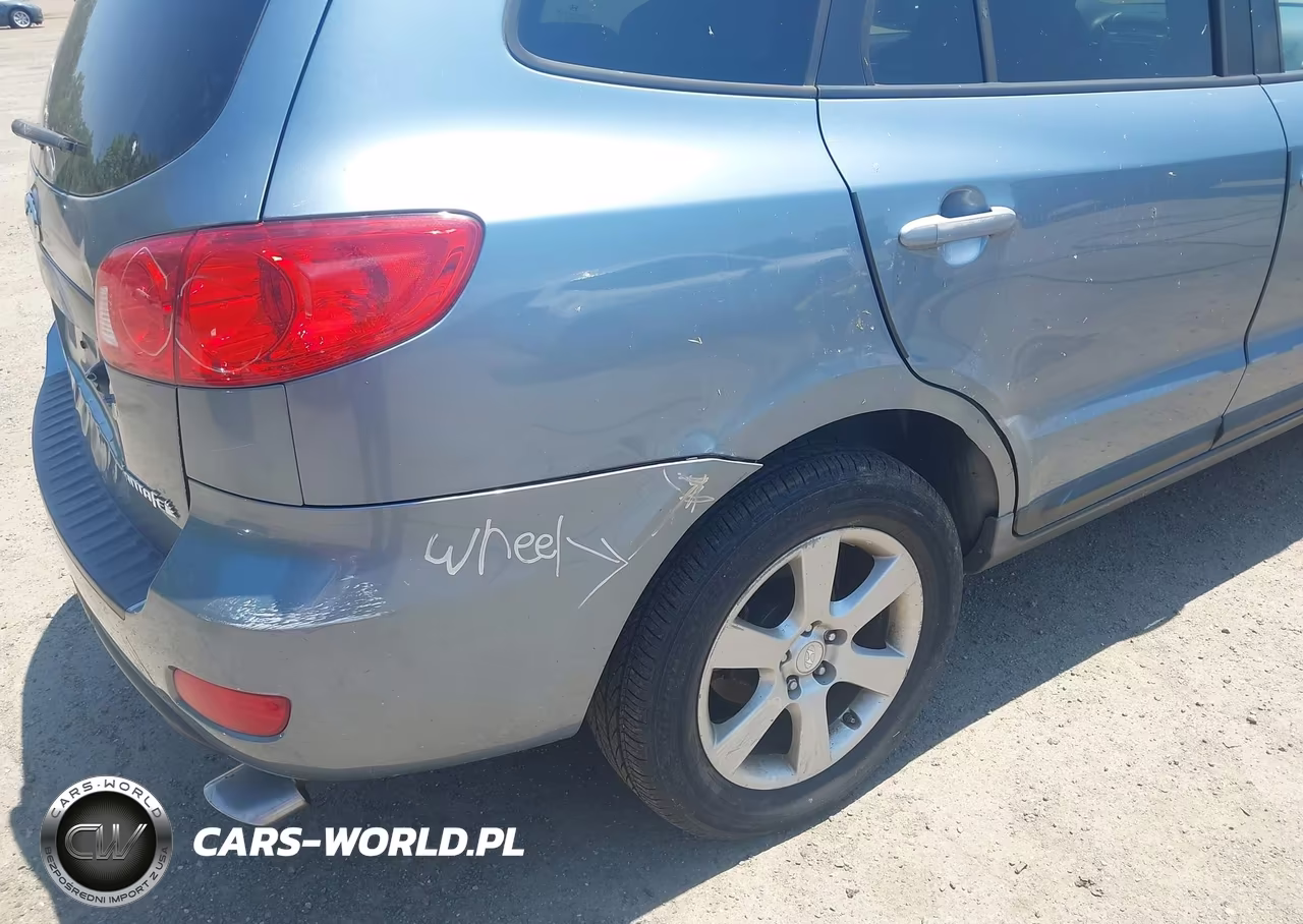 2009 Hyundai Santa Fe Se VIN:5NMSH13E29H296084 - 6