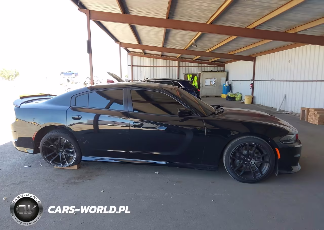 2020 Dodge Charger Scat Pack Rwd VIN:2C3CDXGJ6LH242398 - 13